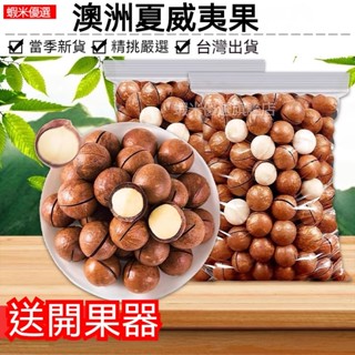 【贈開口器】澳洲夏威夷果1kg 大顆粒帶殼夏威夷果奶香味 原味夏威夷堅果 批發 乾果零食 兒童孕婦零食批發 奶油夏威夷果
