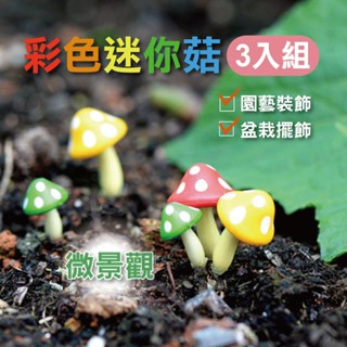 【3種菇菇任意擺 X 草葉日和】盆栽裝飾 生態瓶 彩色迷你菇3入組 多肉盆栽 苔蘚 香菇 生態缸 多肉植物 微景觀