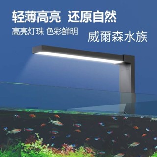 威爾森水族 免運費 LED節能 USB 觸控燈 吸盤燈 水草燈 魚缸燈 微景觀燈 植物燈 迷你桌面燈 圓形魚缸燈