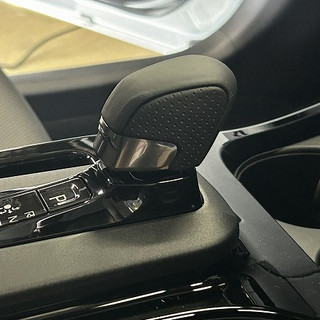日本正廠原裝 LEXUS F SPORT 真皮打孔排檔頭 RX NX LBX PRIUS 可用