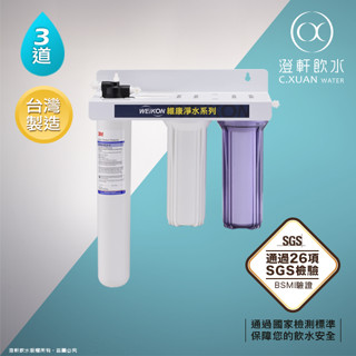 【澄軒飲水-臺北店】三道式【營業用】淨水器~採用原裝進口3M 9812 ELX/ 9812ELXS濾心【贈前2道一年份】