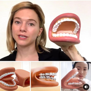 口腔保健教育宣導 口腔模型 學習指標 口腔發音練習 刷牙教學 口腔發音教學 牙齒模型 嘴巴模型 發音練習教學