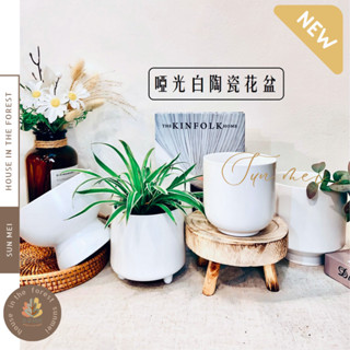 臺灣發貨/啞光白陶瓷花盆/花器/花盆/盆器/陶藝品/觀葉植物/居家佈置/居家裝飾/植栽/植物盆栽/辦公室植栽/送禮盆
