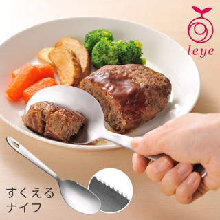 [現貨🇯🇵🔜] 日本製 不鏽鋼 分食大湯匙 燕三條 湯匙 刀匙 鋸齒 兩用 切刀 日本進口 料理 廚房