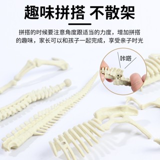 骨骼玩具 恐龍骨架 學習教具 防真玩具 獎勵禮物 交換禮物 生日禮物 益智玩具 早教玩具 手工DIY遊戲 恐龍模型