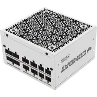 SuperFlower振華 白色模組線材 COMBAT 650W 750W 850W 金牌認証 ATX3.1 十年保固