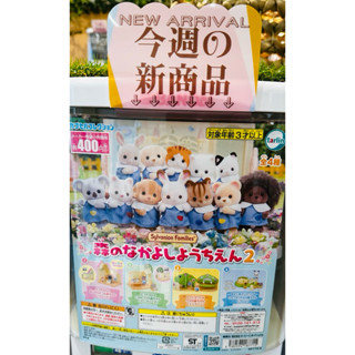 〖在🇹🇼現貨⑥①〗爆炸🉑愛の動物森林家族🌳森のなかよし幼稚園🐰②（🉑選款）