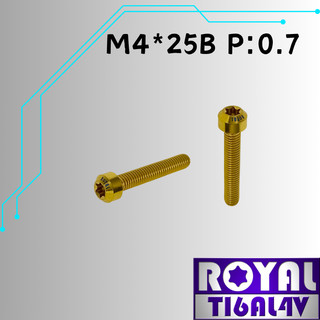 【瘋螺絲】ROYAL 鈦合金螺絲★ M4*25B P:0.7 錐形螺絲★64鈦/正鈦/鈦合金螺絲★出貨附發票★土豪金
