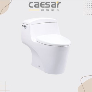【CAESAR凱撒/原廠保固 】實體店面 C1353 /30公分 省水單體馬桶 噴射虹吸式 單體馬桶