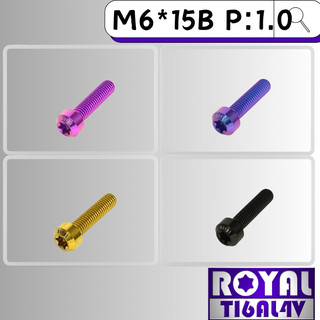 【瘋螺絲】ROYAL 鈦合金螺絲★ M6*15B P:1.0 錐形螺絲★64鈦/正鈦/鈦合金螺絲★出貨附發票 ★五色可選