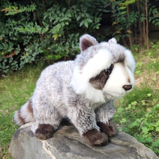 【模擬絨毛玩偶】現貨❤浣熊/蹲姿❤布偶/玩具/填充/娃娃/抱枕/毛絨/模型公仔/擬真/動物/寵物/狸子/狸貓/小浣熊