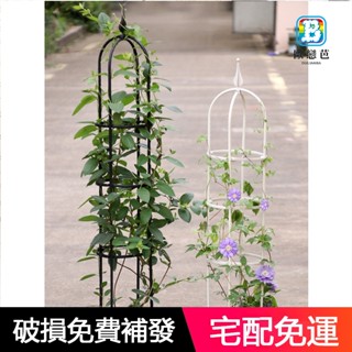 植物支撐架 植物架 爬藤架 戶外花架 園藝花架 爬藤花架 U型歐式飄香藤爬藤花架植物爬藤架包塑圓柱花架盆栽支架 萬家樂