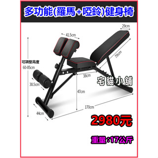 重量17公斤 羅馬椅 負重200公斤 啞鈴椅 臥推椅 舉重椅 舉重架 舉重床 啞鈴架 單槓機 深蹲架 啞鈴凳 引體向上器