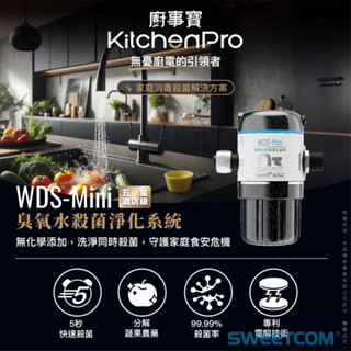 【思維康SWEETCOM】豪星HAOHSING WDS-Mini 臭氧水殺菌淨化系統 廚事寶系列 臭氧水機
