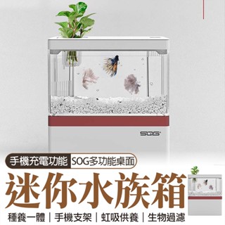 🔥隔日到貨🔥虹吸供氧 多功能 支架 迷你水族箱 小魚缸 USB 水泵 桌上型水族箱 4檔燈光 造景 虹吸 手機支架