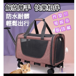 寵物拉桿箱#寵物旅行箱裡#買菜神器#購物車