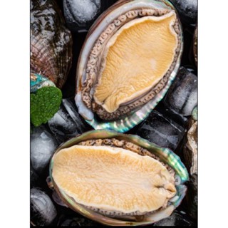 【極海鮮】消費滿$3000，送超商冷凍店取免運 帶殼熟凍鮑魚，包冰40%，母親節送禮享用大餐好選擇，14P-22P