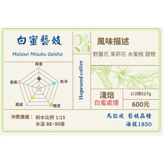 <希望種子咖啡>馬拉威白蜜藝妓濾掛 耳掛咖啡 淺焙 精品咖啡 自家烘焙