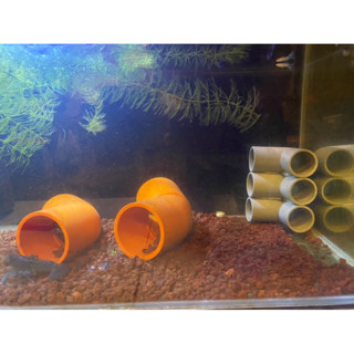 PVC水管/躲避屋 南亞PVC塑膠管裁切 水管裁切 水管零售 南亞水管 中水管