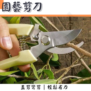 ｜園藝剪刀｜盆栽剪 盆栽修飾 樹枝修剪 花園剪刀 樹枝花枝修剪 盆栽修剪 剪刀 花園剪 直剪彎剪 園藝剪 園藝器具