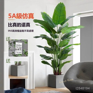【免運開發票】天堂鳥模擬綠植 高階輕奢仿生花客廳大型室內盆栽 擺件裝飾樹假植物 仿真植物 假植物 假植物裝飾擺件 假盆栽
