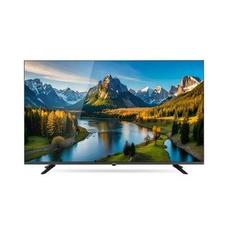 CHIMEI 奇美 55型 Google TV連網液晶顯示器 TL-55G200