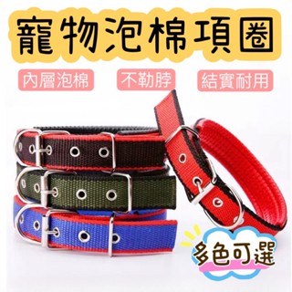 臺灣現貨 24H發貨 寵物項圈 泡棉項圈 狗項圈 寵物頸圈 狗狗項圈 大型犬項圈 狗狗頸圈 牽引繩 寵物胸背帶 胸背帶