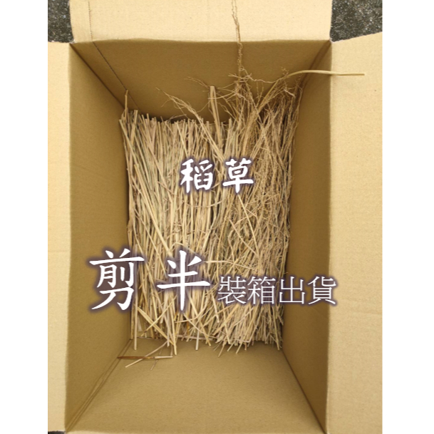 《乾稻草》稻草梗 🔸 114年12月 -現割新鮮乾稻草 / 種菜覆土 / 草履蟲培育 / 禽類寵物窩
