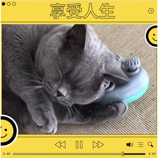【BK選物】寵物按摩儀 3D頭部按摩器 貓咪按摩器 電動貓咪按摩器 電動頭部按摩器 貓狗按摩器 無線 防水 智慧按摩器