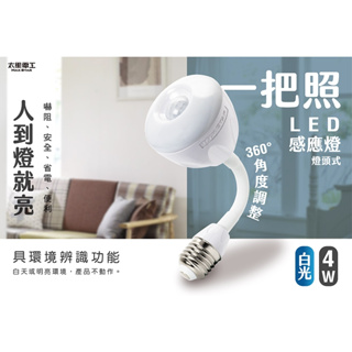 太星電工 一把照LED感應燈4W/E27燈頭式 白光 WDG104W