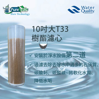 【PureTech水醫生】10吋大T樹酯濾心台灣製造