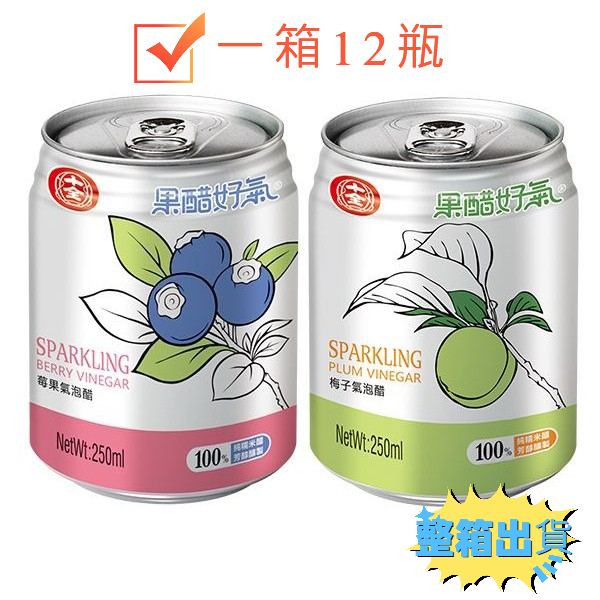 整箱出貨 十全果醋氣泡飲250ml 一箱12瓶 果醋氣泡飲 碳酸飲品 水果醋 果汁飲料 碳酸飲料 果醋 氣泡飲 十全