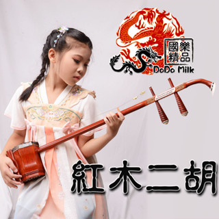 【嘟嘟牛奶糖樂器屋】 臺灣現貨 國樂精品 高檔紅木二胡 完美蛇背皮南胡 全配件+自學組 初學二胡