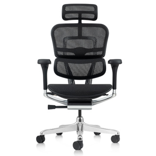 【MR】 ERGOHUMAN 111 2.0單桿旗艦版 人體工學椅 2023年大改款 熱銷椅款