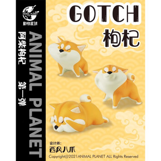 【MOVE】 (現貨) 動物星球 西風聯名 阿柴枸杞 第一彈 柴犬 捏臉 戳臉 手辦 模型 公仔 Q版