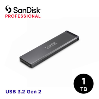SanDisk Professional PRO-BLADE SSD Mag
