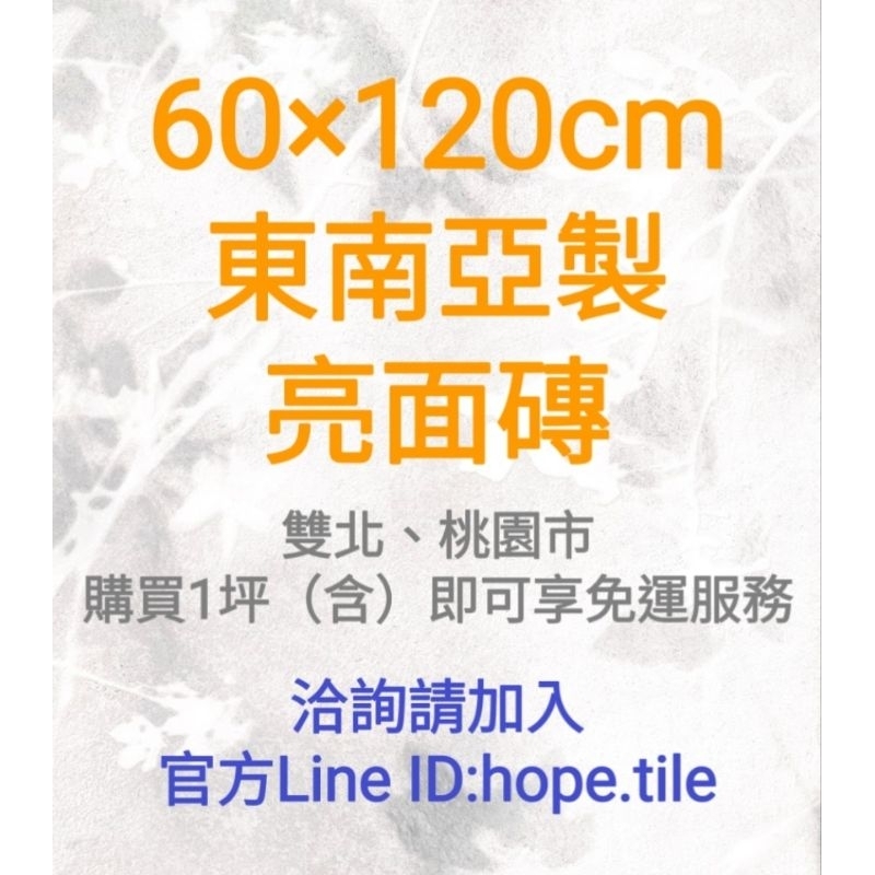 《東南亞60×120cm亮面》馬來西亞、越南、印度石英質釉拋亮面磚🔶️詢價請加入官方平台🔶️