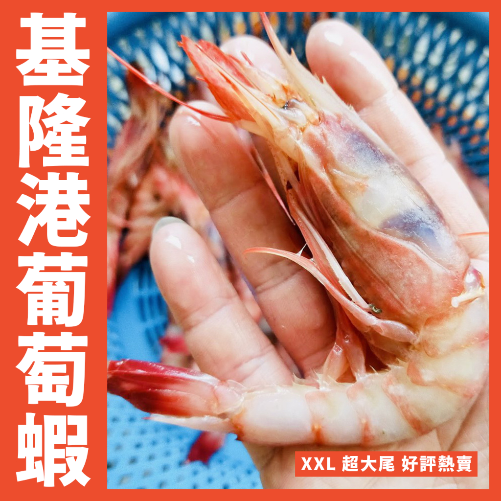 【鮮煮義美食街】XXL葡萄蝦/生食蝦/1000克20/30大尾正規型號