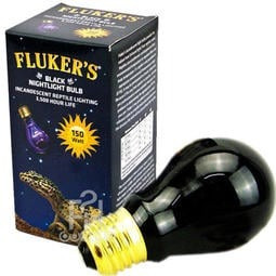 美國 FLUKER'S 夜間紫色加溫燈泡 25w 60w 75w 100w 150w