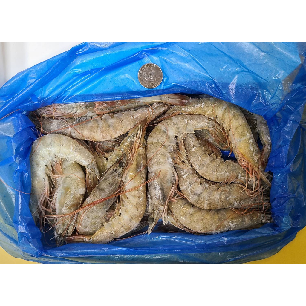 大白蝦（20/30） 白蝦 冷凍生白蝦 海鮮 中秋 烤蝦 海鮮 生猛海鮮 免運 滿3000元免運