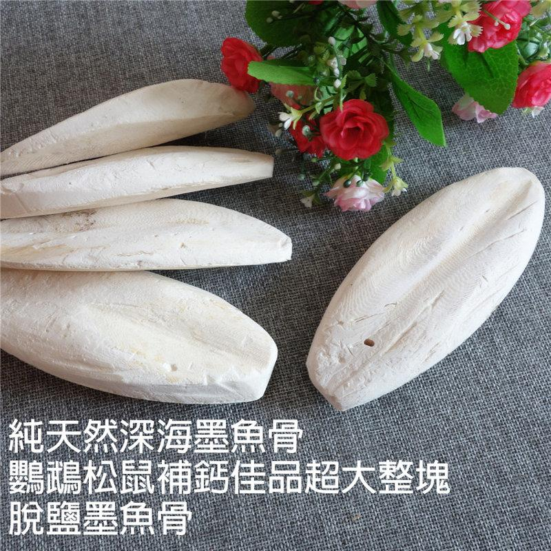 【藥局選購】墨魚骨 墨魚骨塊 墨魚骨鸚鵡 墨魚骨陸龜 澤龜 墨魚骨串 墨魚骨鳥玩具 補鈣 爬蟲補鈣 爬蟲鈣粉 爬蟲鈣粉d