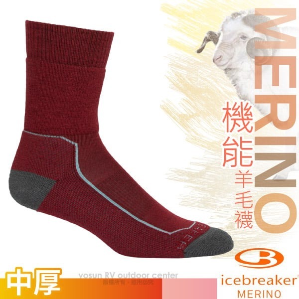 【Icebreaker】女 款保暖避震中筒美麗諾羊毛襪 Phd Hike+ 登山小腿襪 透氣抗菌運動襪_IB105097