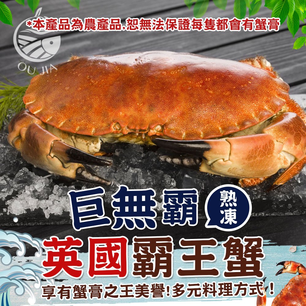 蟹膏之王熟凍霸王蟹600G/ 800G/隻【歐嘉水產】麵包蟹 玫瑰蟹 全家799免運 餐廳供應 批發