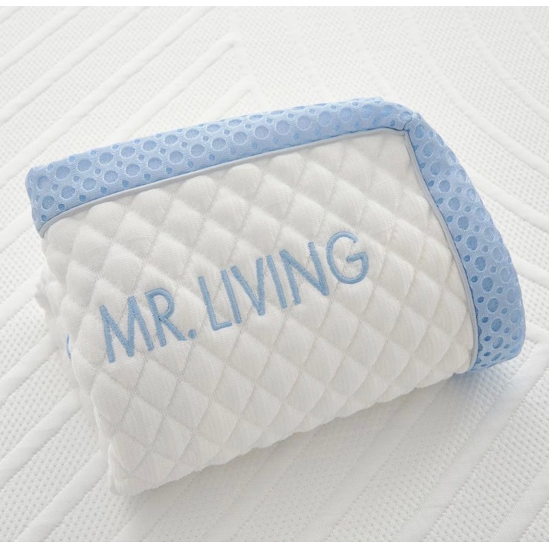 Mr.living 居家先生 冰絲涼感枕套 適用於涼感減壓記憶枕