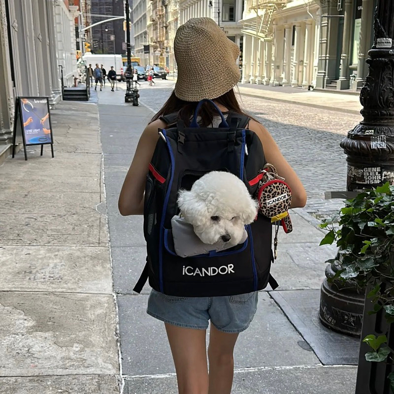 ［Arush］新色到 韓國🇰🇷 iCANDOR JIGE BAG 寵物後背包 M/L  3色 時尚 全開式 狗 貓