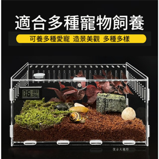 【出清特賣】壓克力箱 壓克力籠 爬蟲爬寵壓克力飼養盒箱 爬蟲箱 倉鼠 豹紋守宮睫角肥尾鬆獅蜥蜴角蛙螳螂蜘蛛蛇