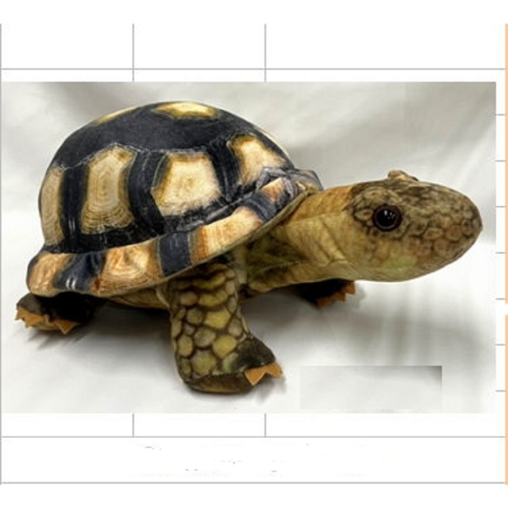 烏龜娃娃  小海龜玩偶 海龜玩偶烏龜 海生館 逼真陸龜玩偶 海洋生物 烏龜造型玩偶