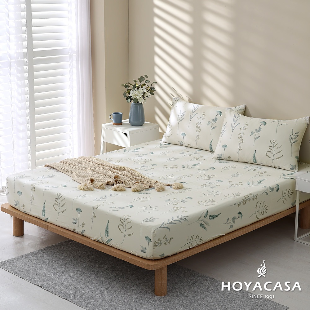 HOYACASA 葉語涵香 - 100%天絲枕套床包三件組(單人/雙人/加大)