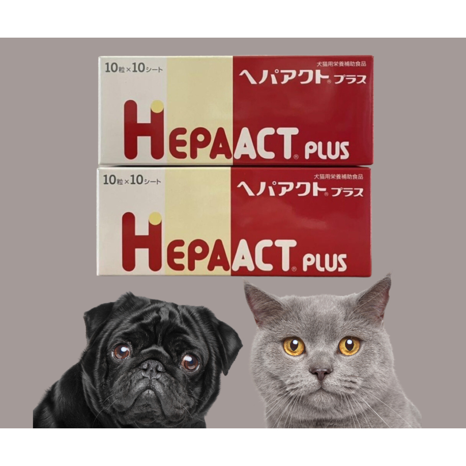 日本全藥 HEPAACT plus 肝錠加強版 公司貨 保肝氨腦錠