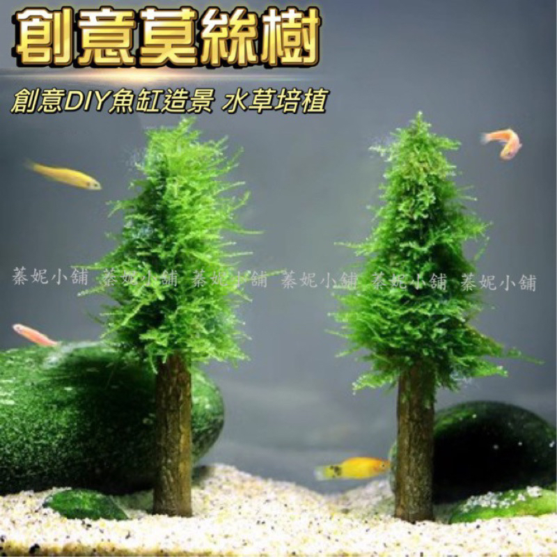 DIY莫絲造景樹 聖誕樹 樹林造景 鹿角苔 三角默絲 綁水草 莫絲 水草 造景 魚缸造景裝飾 蓁妮小舖